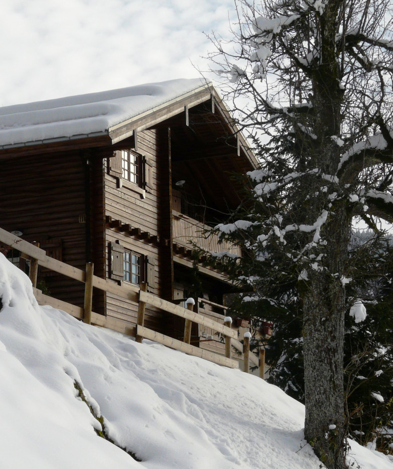 Log_Cabin_Legoux_11.jpg